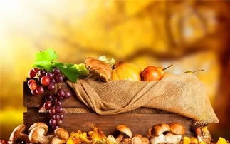 秋季養生家中必備食材10大排行榜，中醫養生保健服務指南