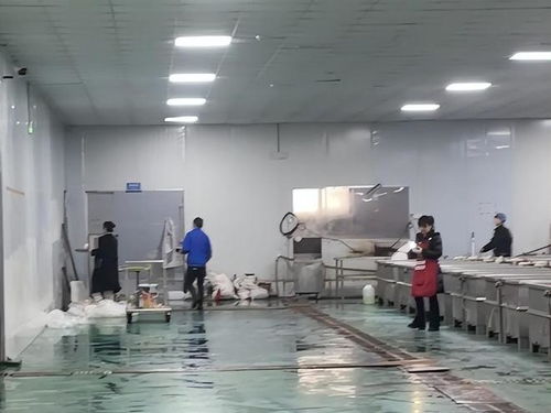 鹿哈毛肚爆單三千萬(wàn) 品質(zhì)危機(jī)與供應(yīng)鏈誰(shuí)人兜底？